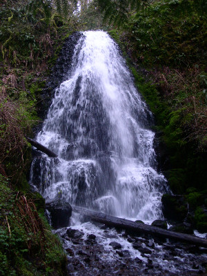 [A multi-level spray of water down a hillside. Lots of wispy type sprays which may be how it got its name.]